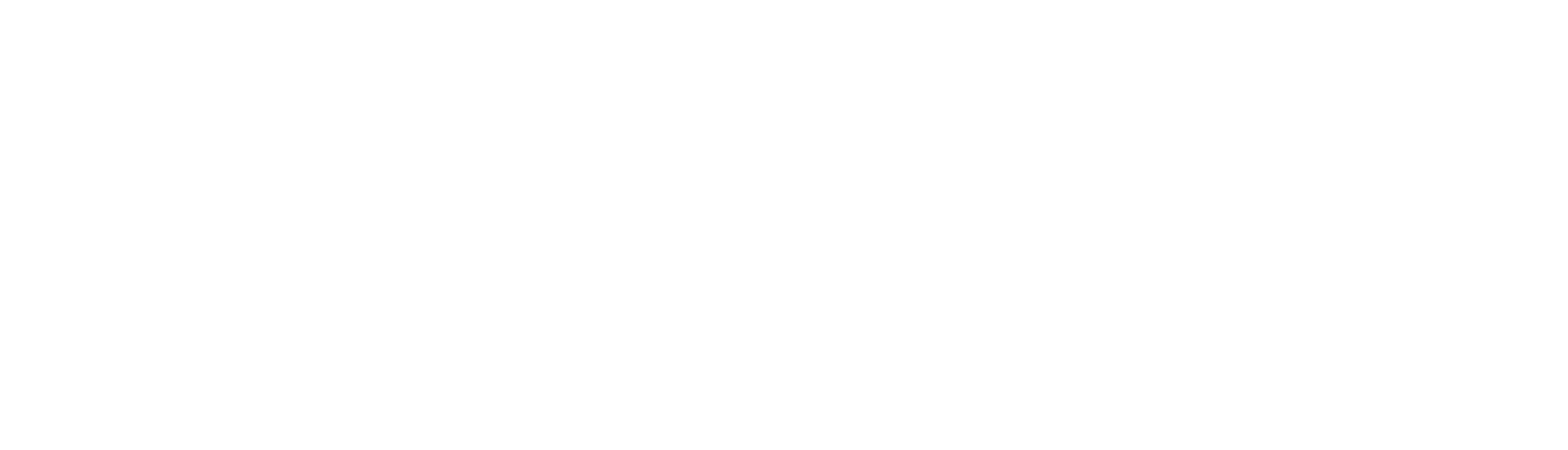 suzega-big-logo-footer